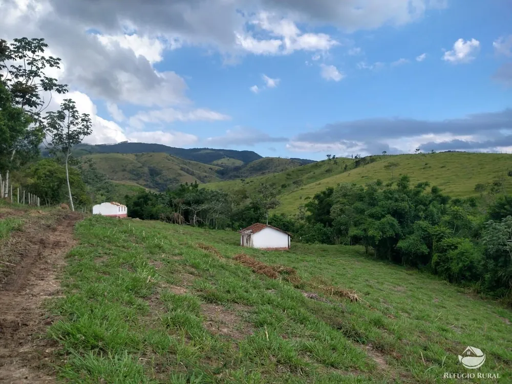Fazenda, 324 hectares - Foto 12