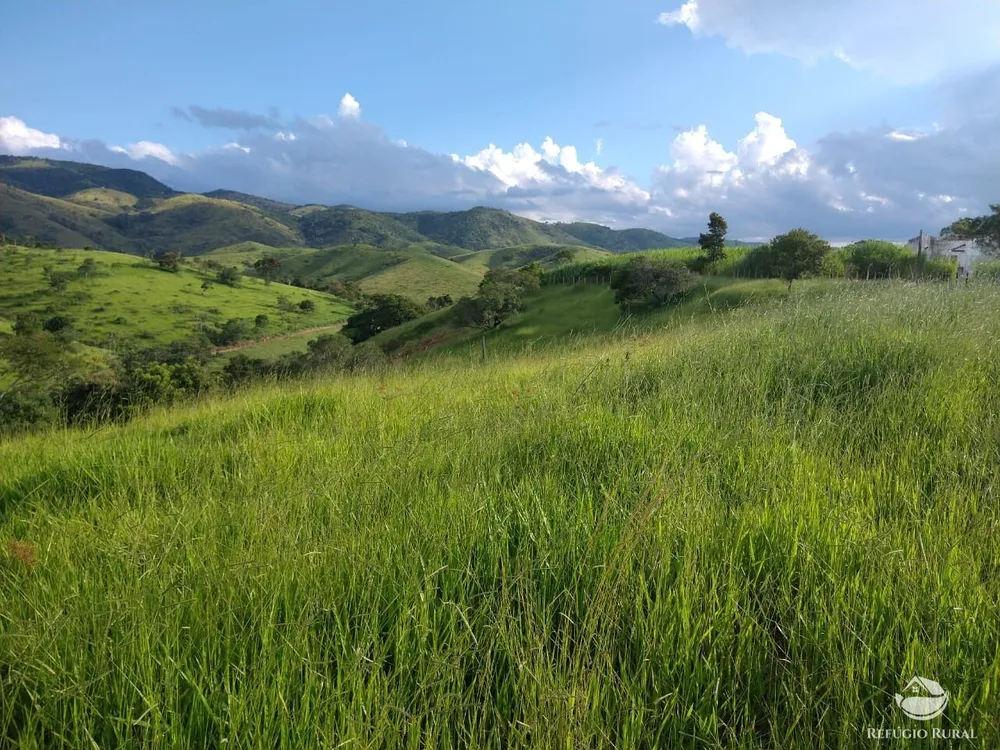 Fazenda, 324 hectares - Foto 4