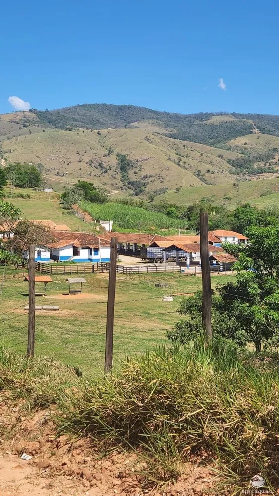 Fazenda, 324 hectares - Foto 3