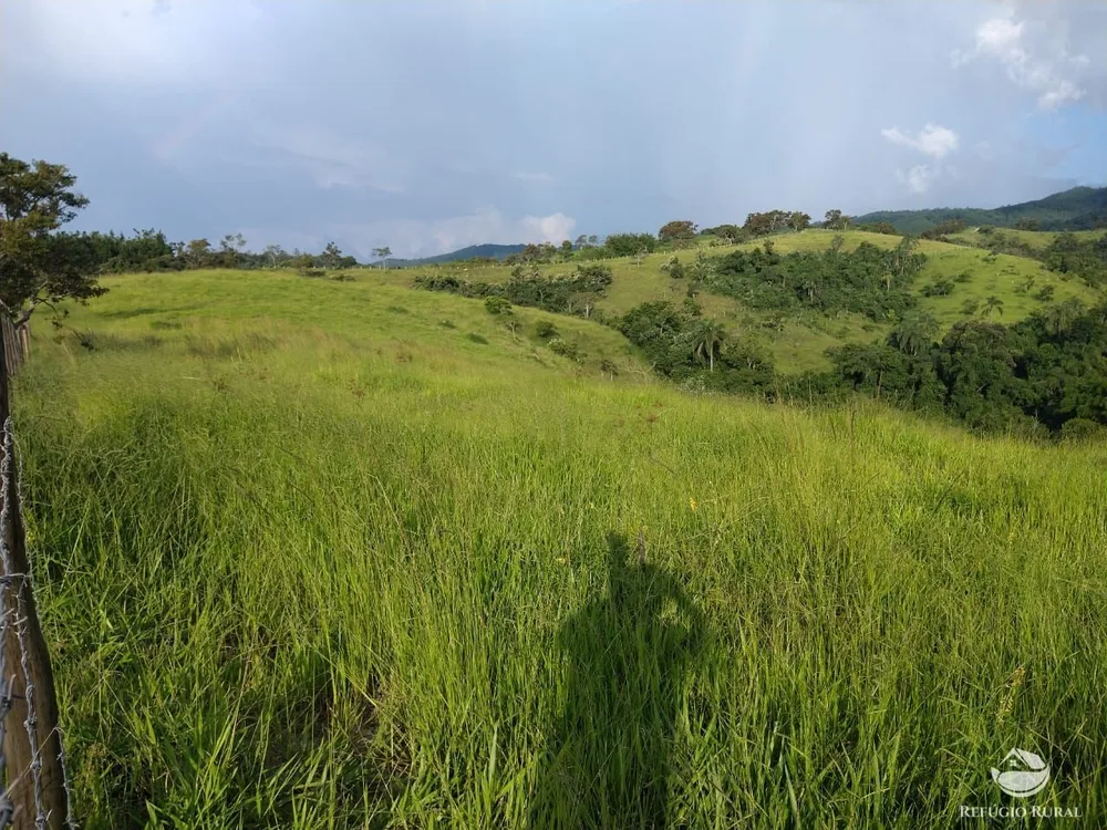 Fazenda, 324 hectares - Foto 5