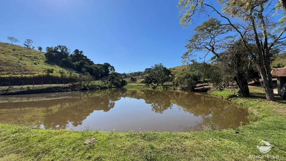 Fazenda, 324 hectares - Foto 13