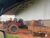 Fazenda, 8300 hectares - Foto 1
