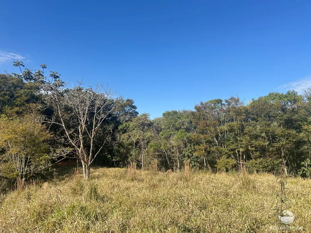 Terreno, 5 hectares - Foto 10