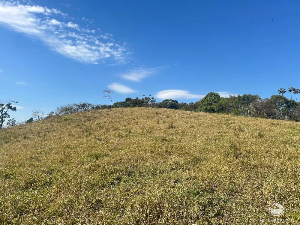 Terreno, 5 hectares - Foto 7