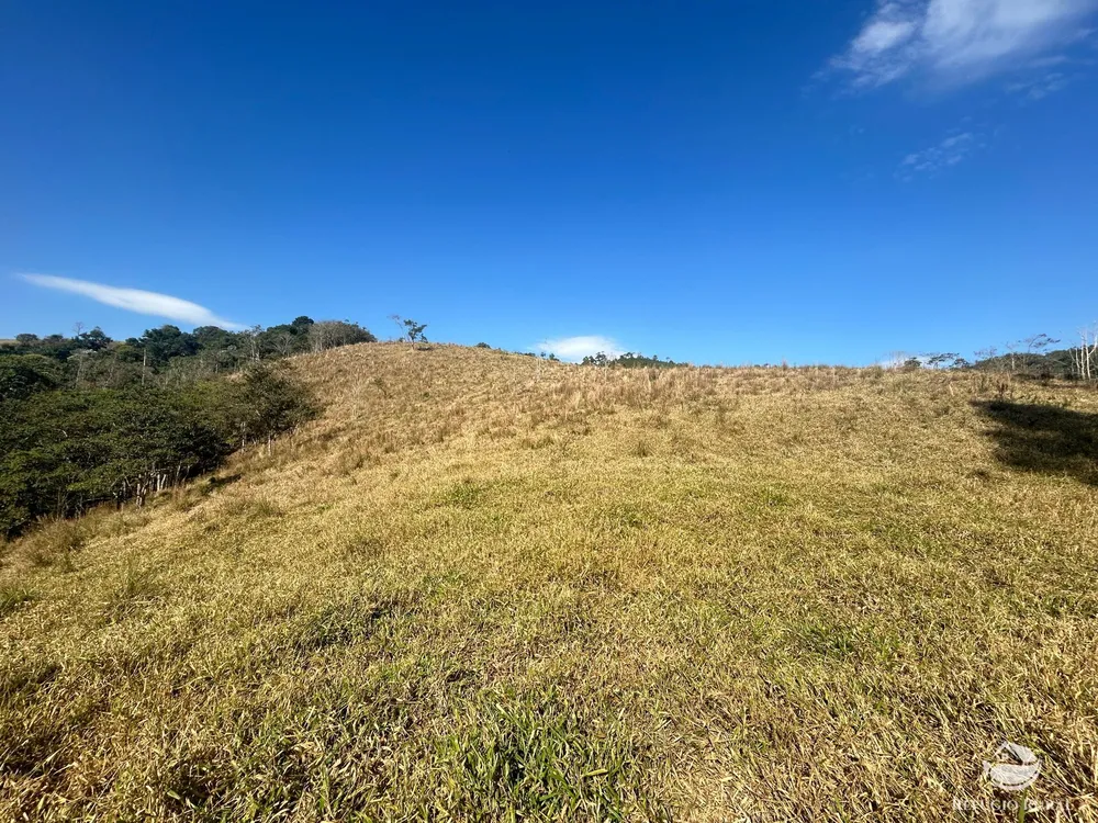 Terreno, 5 hectares - Foto 7