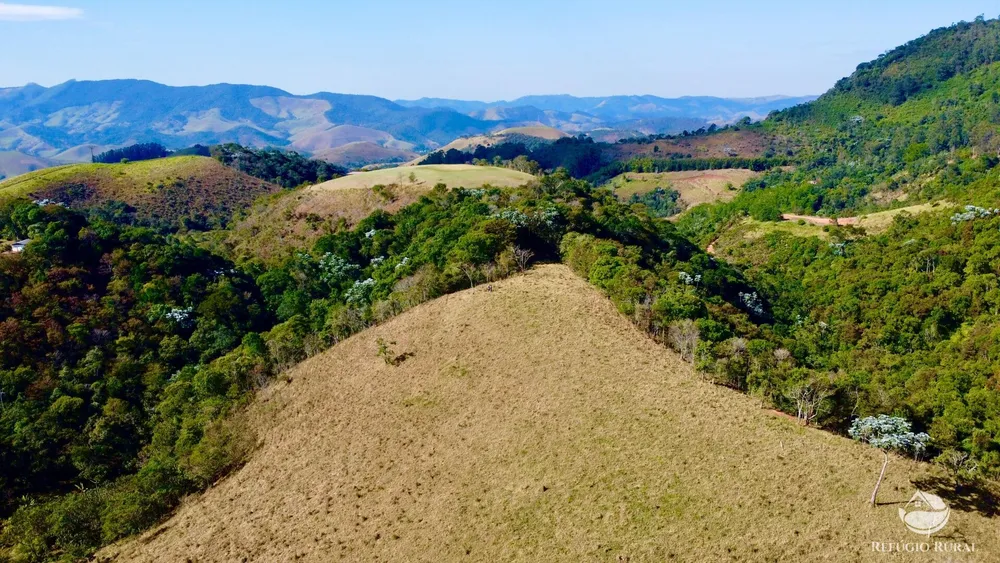Terreno, 5 hectares - Foto 4