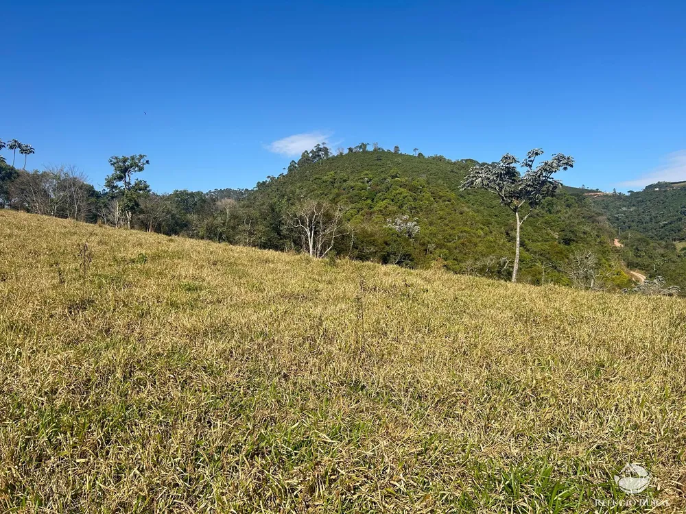 Terreno, 5 hectares - Foto 16