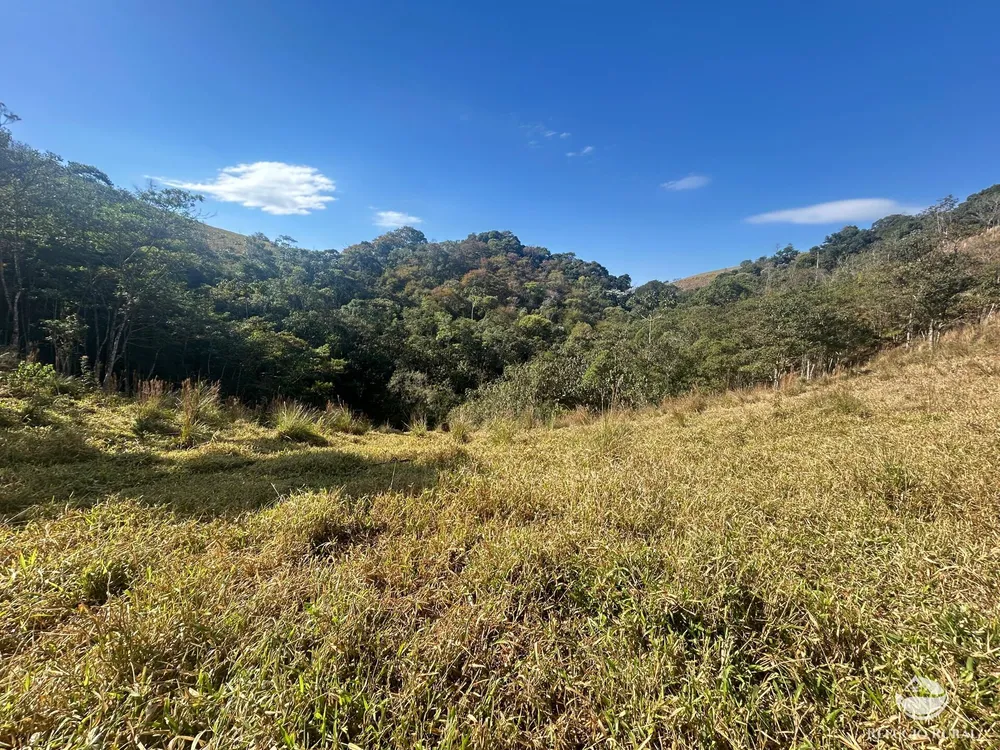 Terreno, 5 hectares - Foto 14