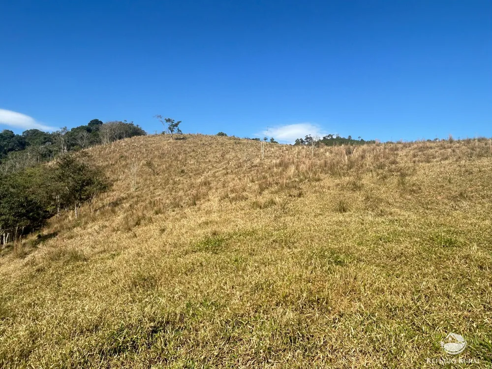 Terreno, 5 hectares - Foto 13