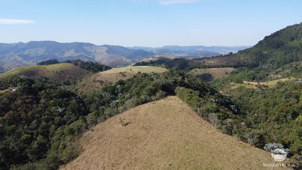 Terreno, 5 hectares - Foto 3