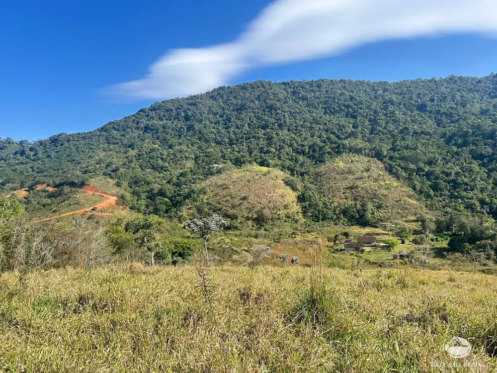 Terreno, 5 hectares - Foto 8