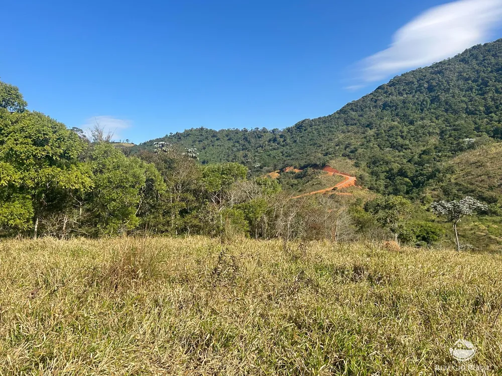 Terreno, 5 hectares - Foto 6