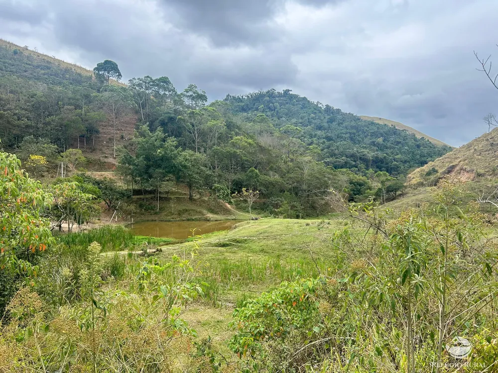 Sítio, 15 hectares - Foto 12