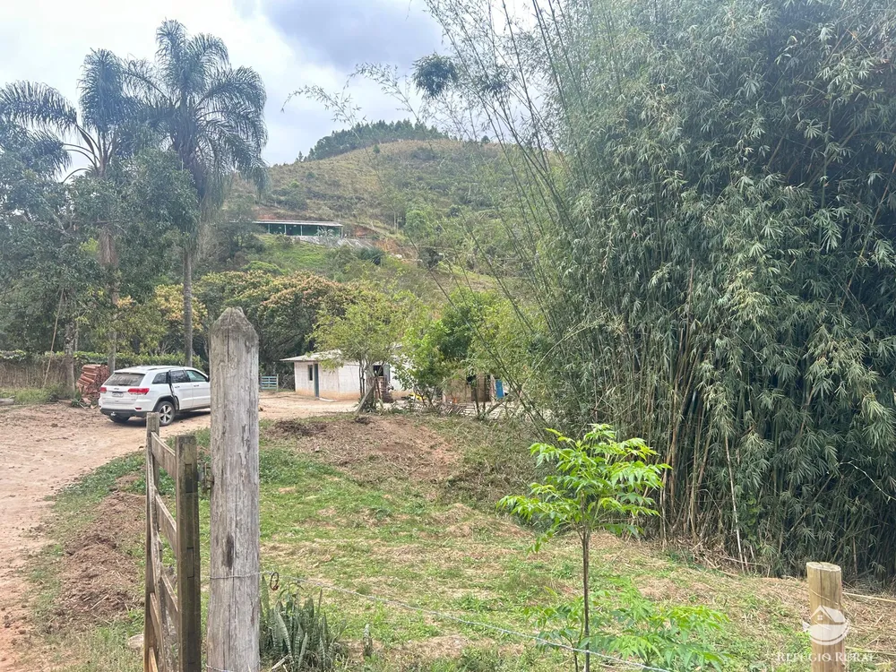 Sítio, 15 hectares - Foto 2