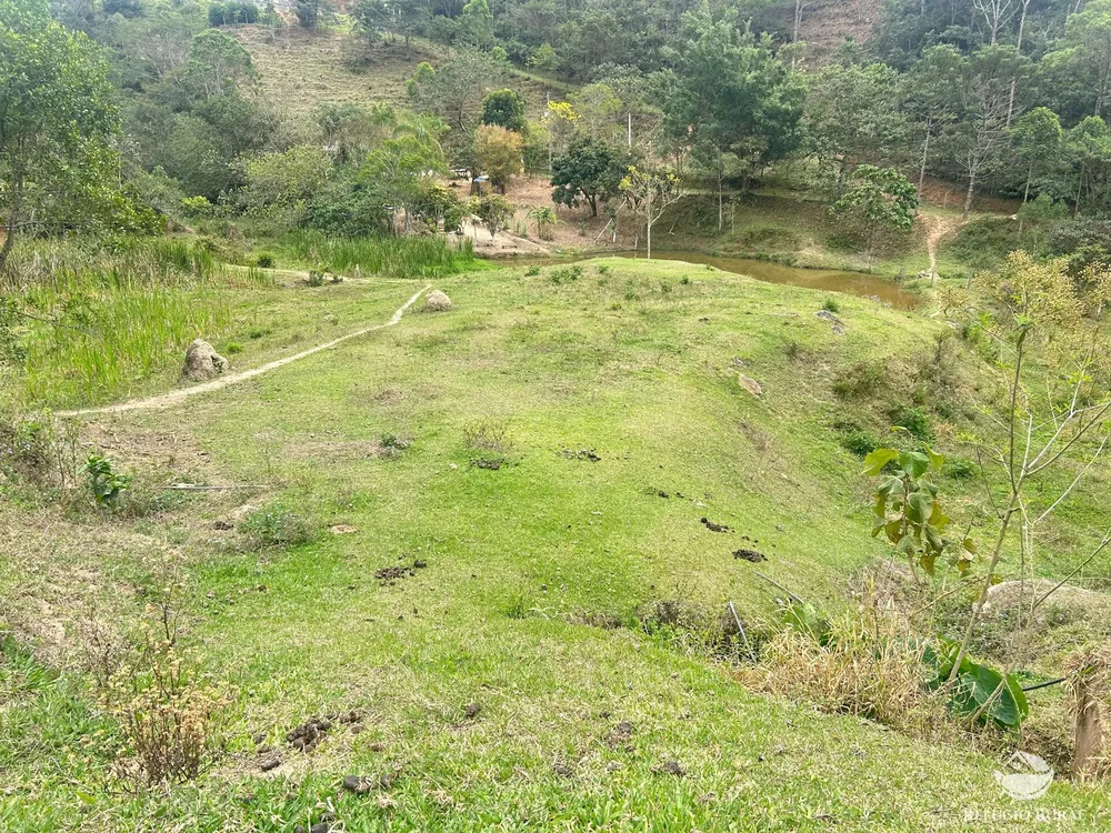 Sítio, 15 hectares - Foto 16