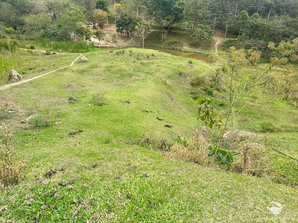Sítio, 15 hectares - Foto 14