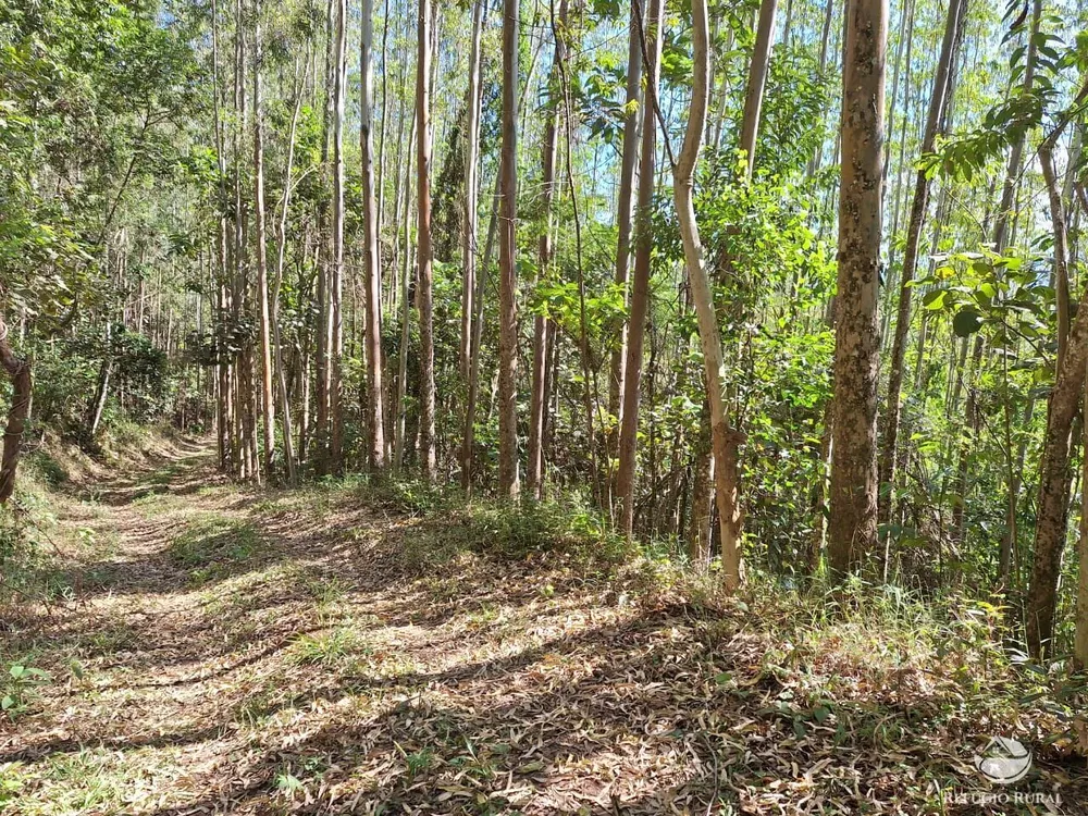 Terreno, 20 hectares - Foto 4
