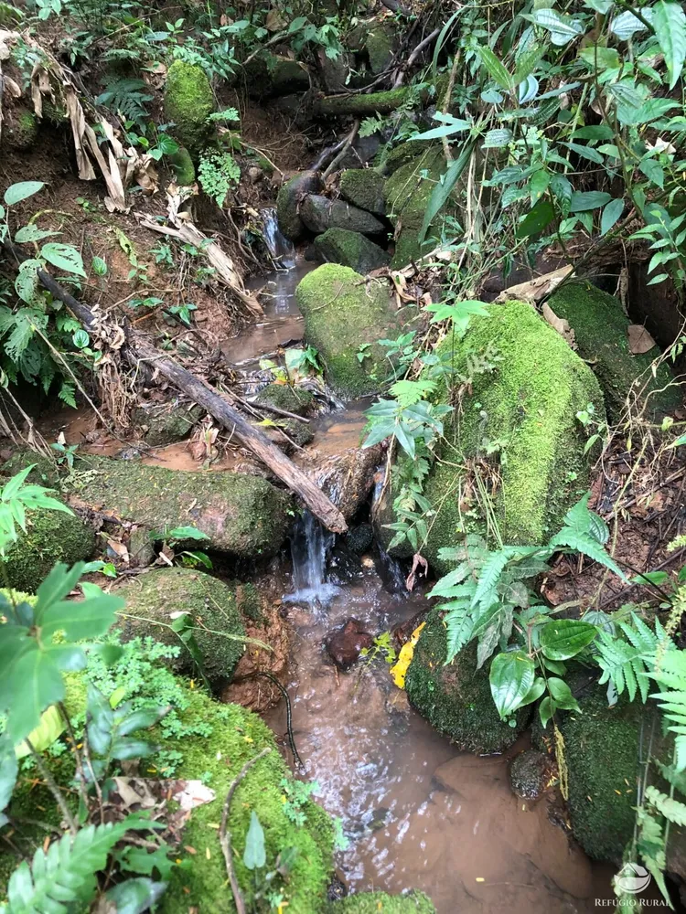 Terreno, 20 hectares - Foto 1