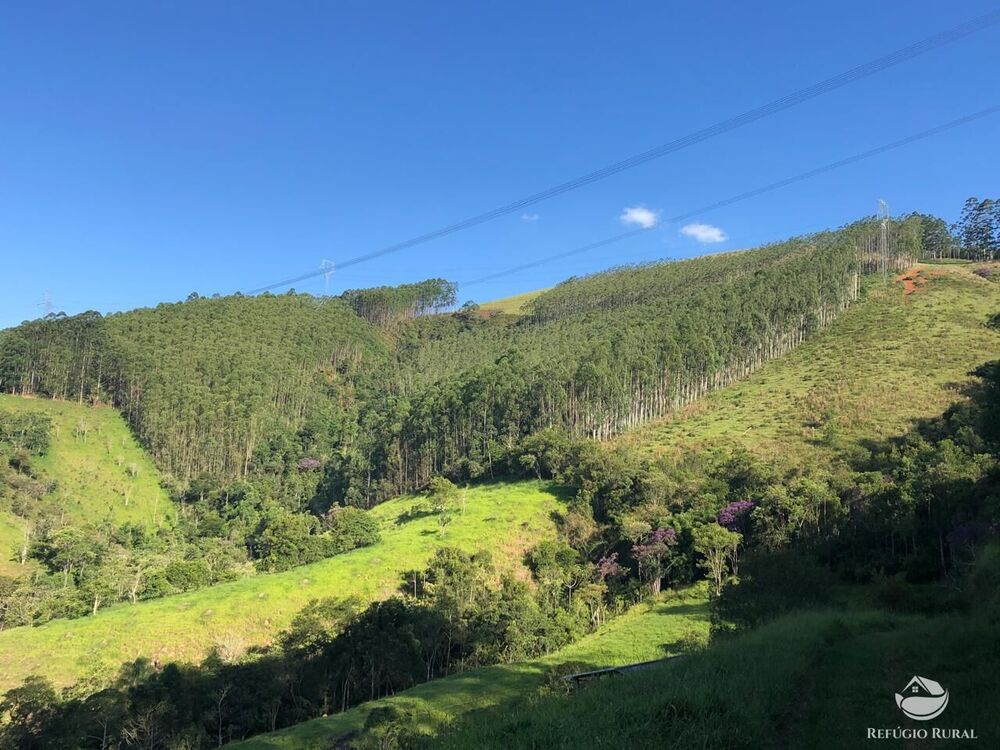 Terreno à venda com 1 quarto, 202500m² - Foto 2