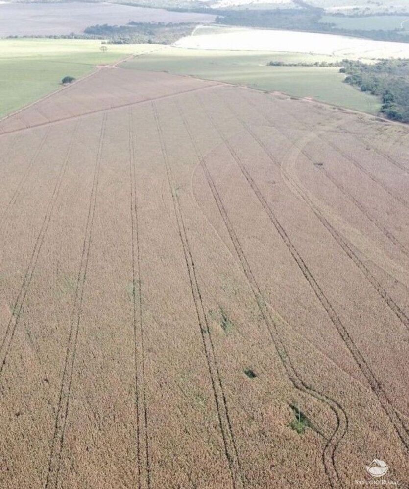 Fazenda à venda com 7 quartos, 14700000m² - Foto 6