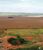 Fazenda, 1470 hectares - Foto 4