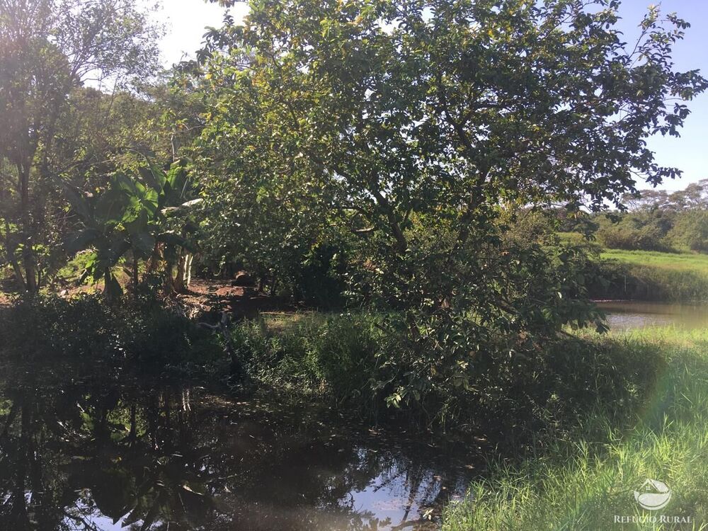 Sítio, 3 quartos, 5 hectares - Foto 16