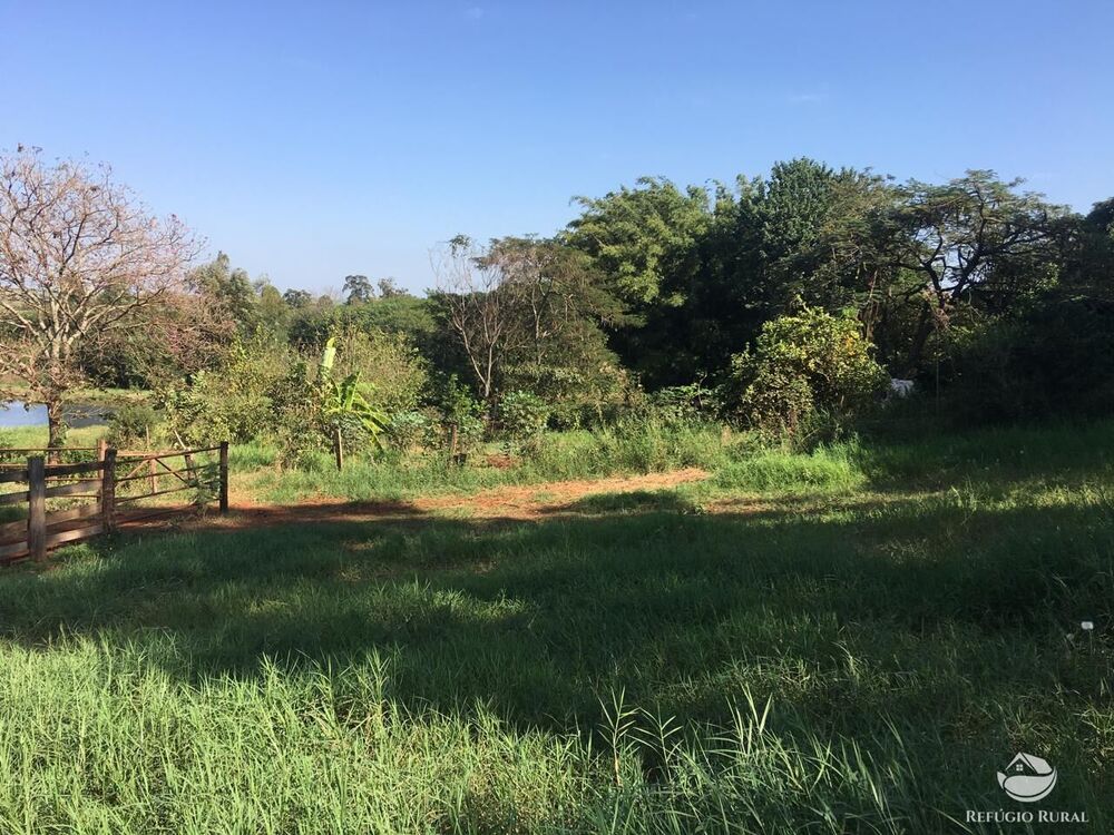 Sítio, 3 quartos, 5 hectares - Foto 22