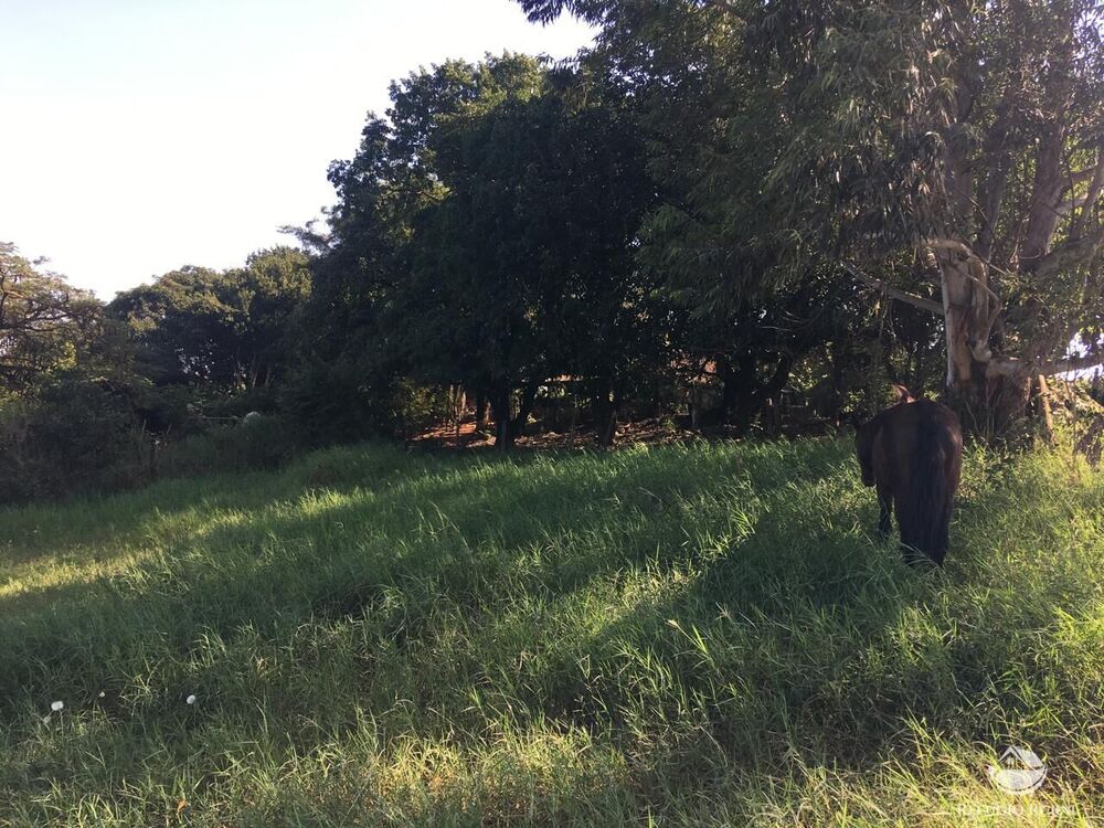 Sítio, 3 quartos, 5 hectares - Foto 10