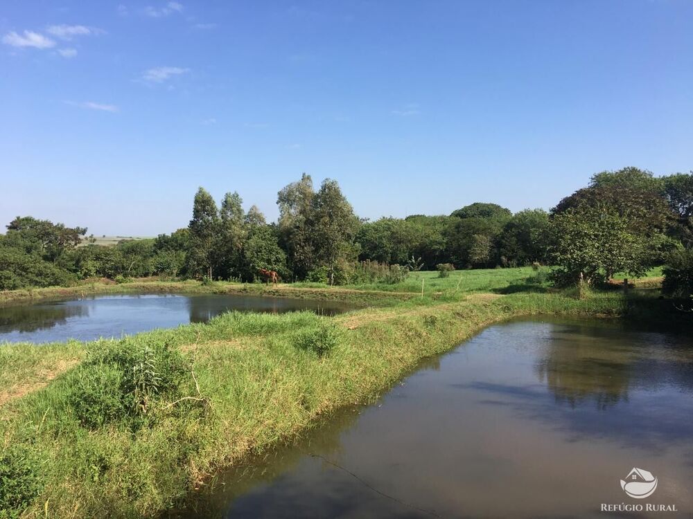 Sítio, 3 quartos, 5 hectares - Foto 7