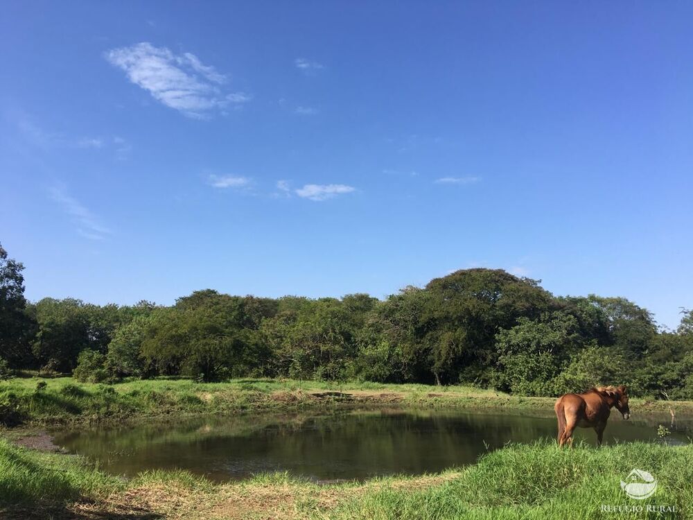 Sítio, 3 quartos, 5 hectares - Foto 27