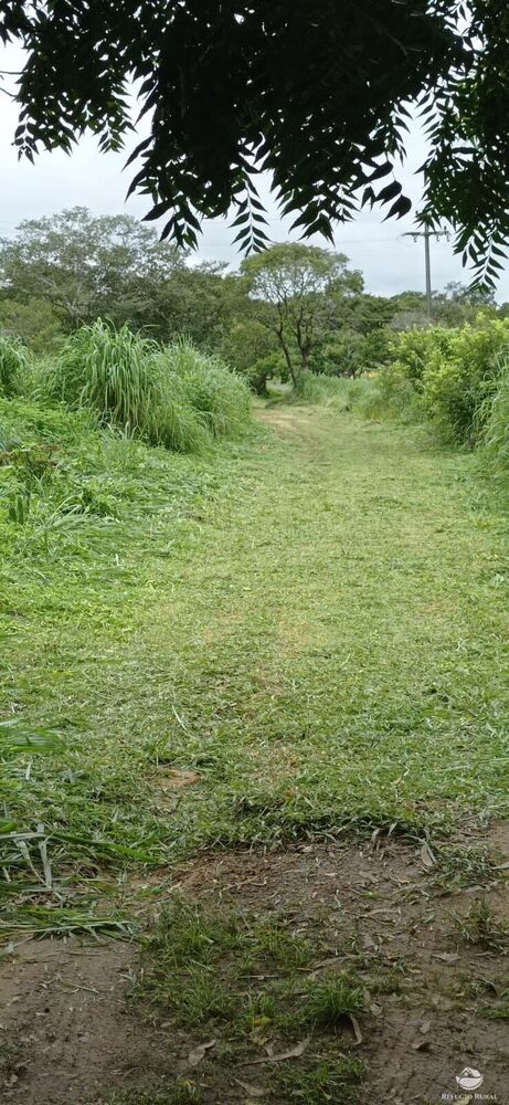 Sítio à venda com 4 quartos, 700000m² - Foto 3