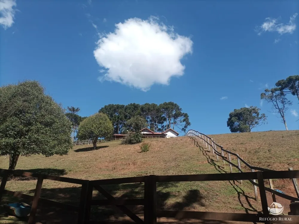 Fazenda, 6 hectares - Foto 4