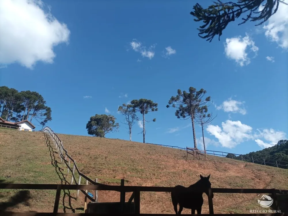 Fazenda, 6 hectares - Foto 2
