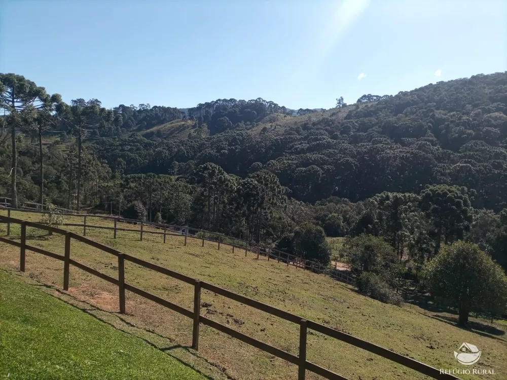 Fazenda, 6 hectares - Foto 3