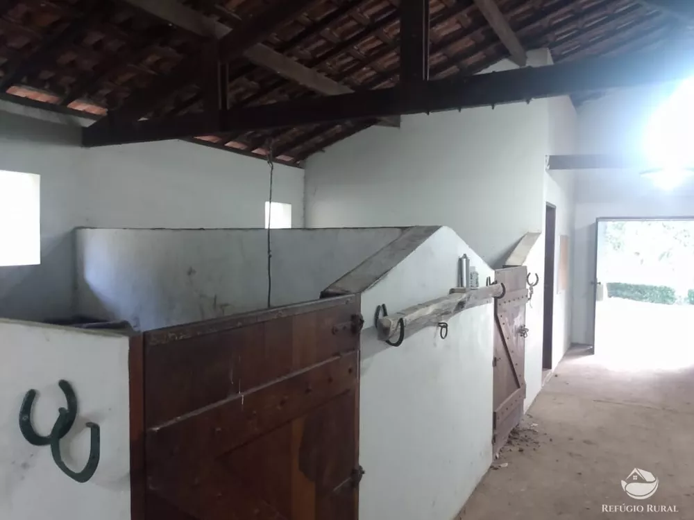 Fazenda, 6 hectares - Foto 7