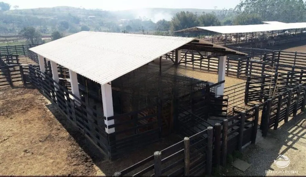 Fazenda, 257 hectares - Foto 3