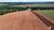 Fazenda, 2300 hectares - Foto 4