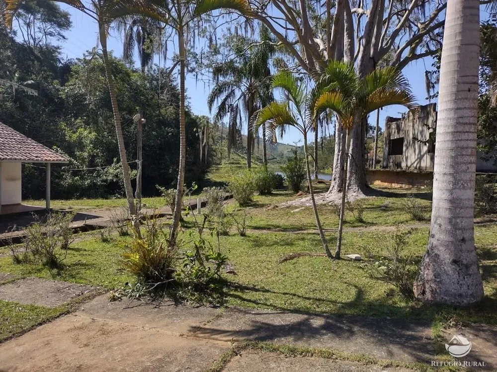 Fazenda, 271 hectares - Foto 3