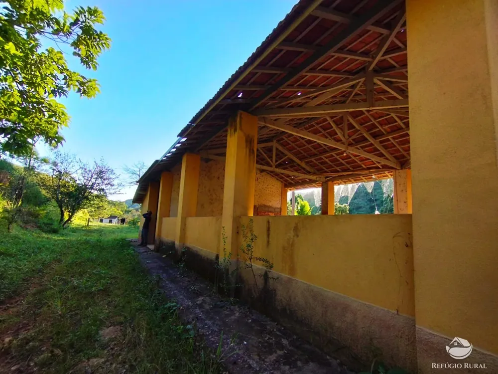 Fazenda, 271 hectares - Foto 16