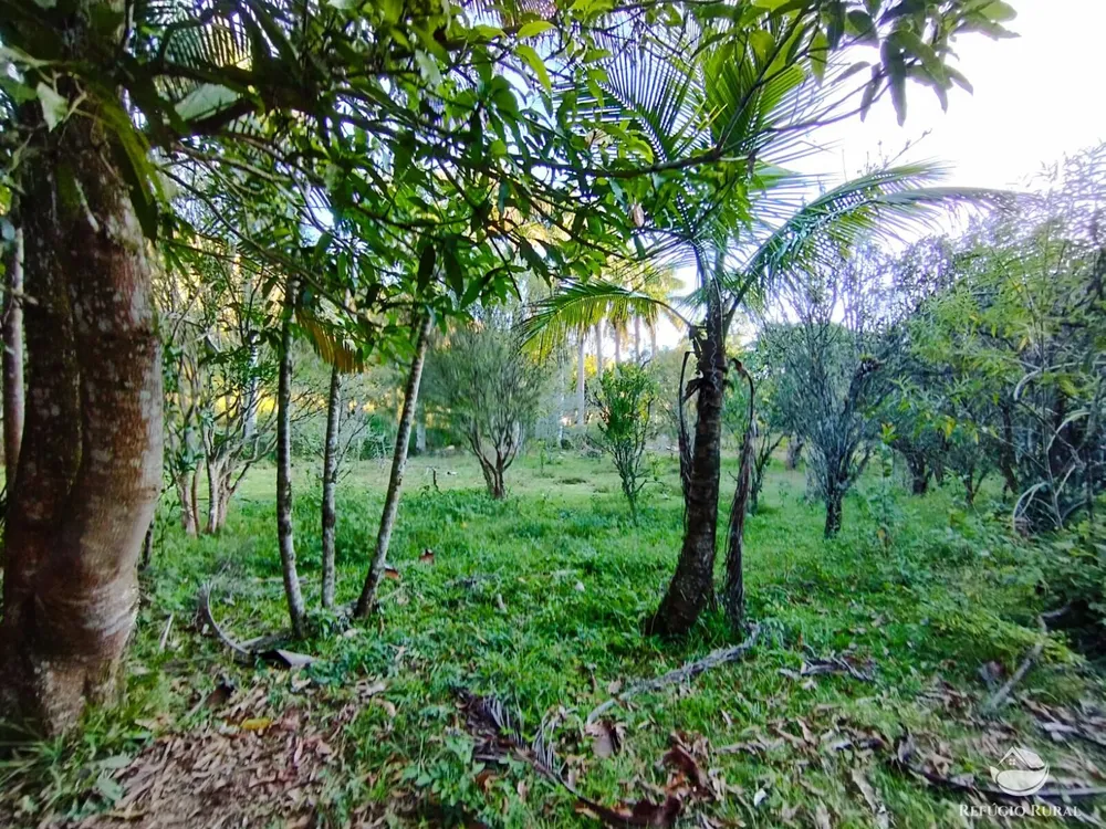 Fazenda, 271 hectares - Foto 15