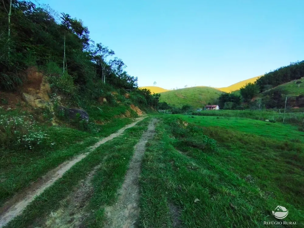 Fazenda, 271 hectares - Foto 11