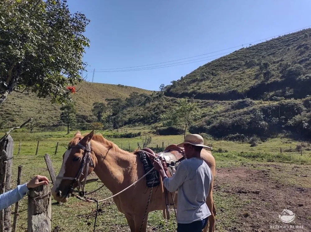 Fazenda, 271 hectares - Foto 8