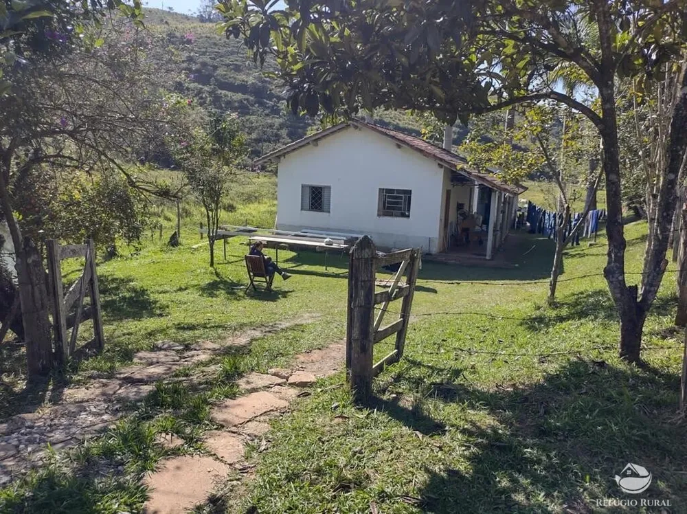Fazenda, 271 hectares - Foto 5
