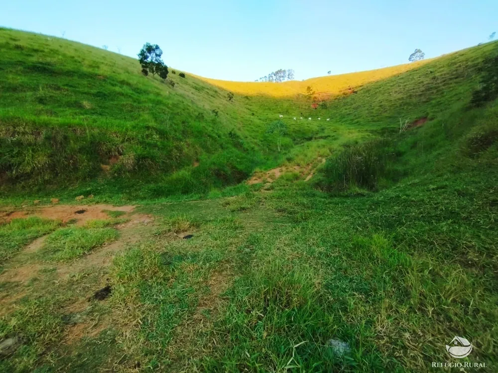Fazenda, 271 hectares - Foto 12