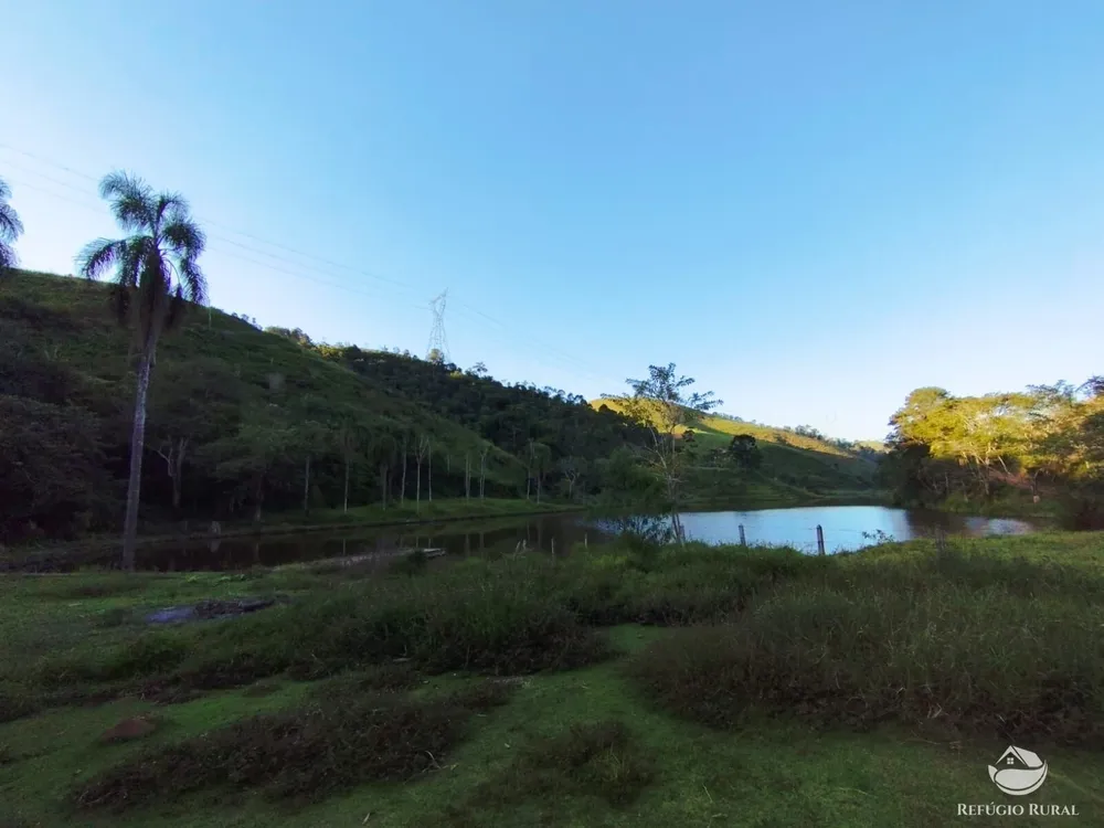 Fazenda, 271 hectares - Foto 9