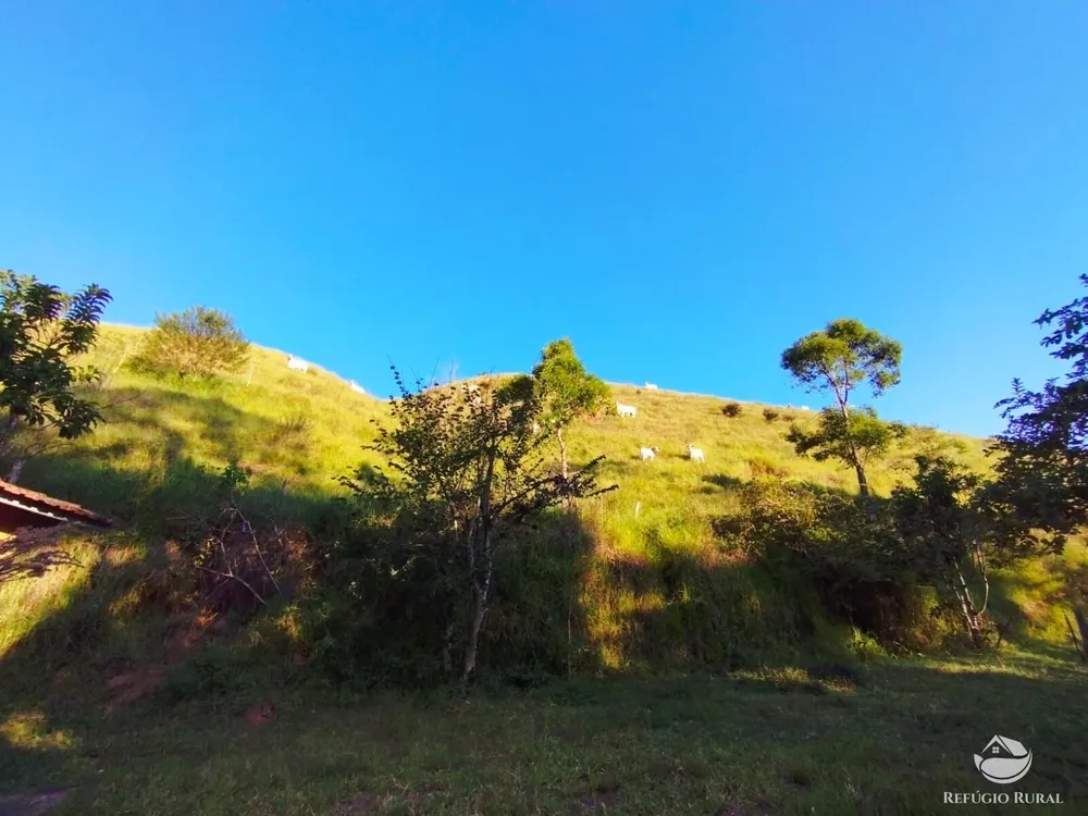 Fazenda, 271 hectares - Foto 14