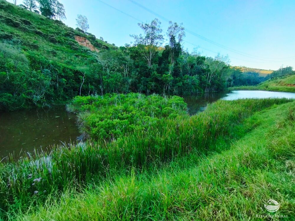 Fazenda, 271 hectares - Foto 10