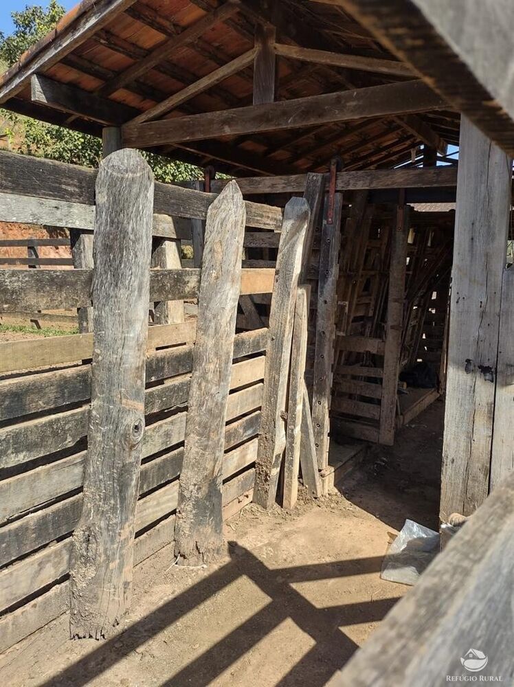 Fazenda, 271 hectares - Foto 7