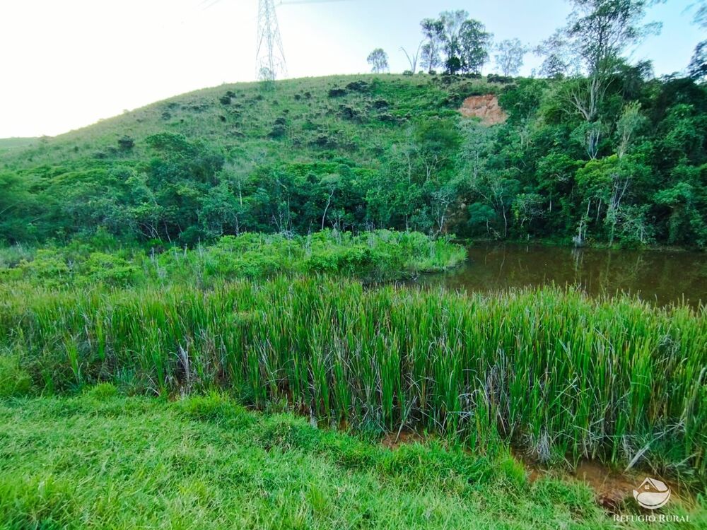 Fazenda, 271 hectares - Foto 13