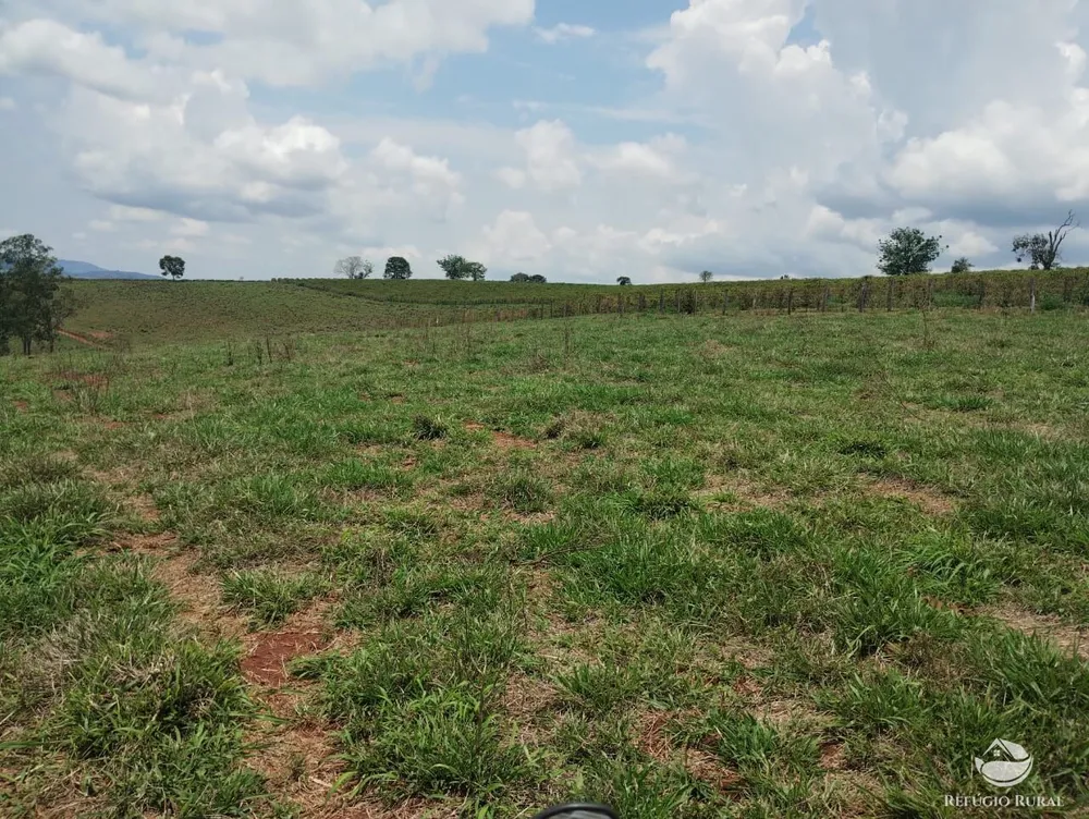 Fazenda, 77 hectares - Foto 15